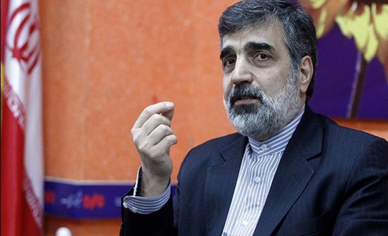 وارد فاز دوم بازطراحی راکتور آب سنگین اراک شده‌ایم/ آمریکایی‌ها وظایف خود در این زمینه انجام داده‌اند