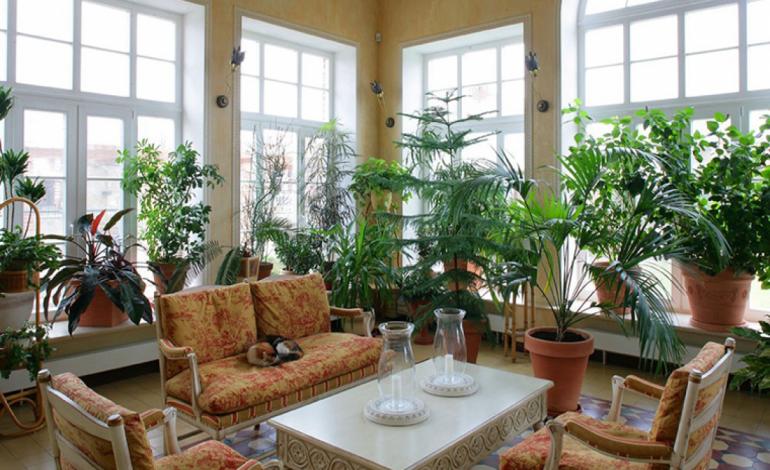 معماری سبز در دکوراسیون داخلی