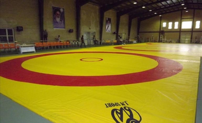 کمک یک میلیارد تومانی شورای شهر به خانه کشتی