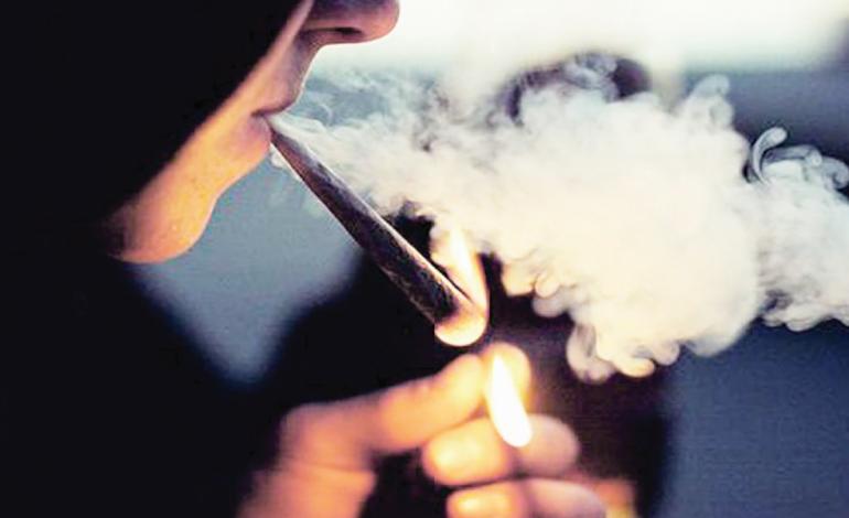 قاتل کوچک لعنتی!