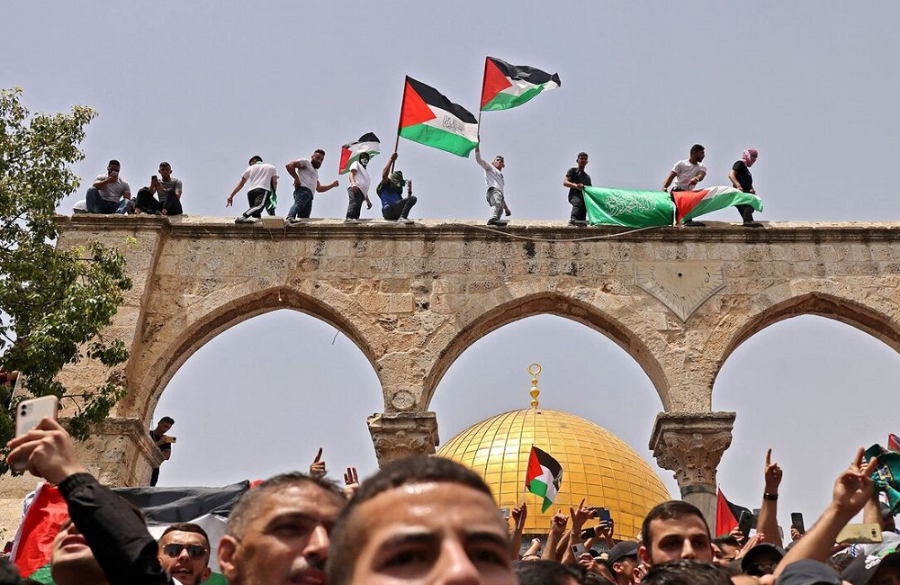 باید بمانیم، فلسطین سرزمین ماست