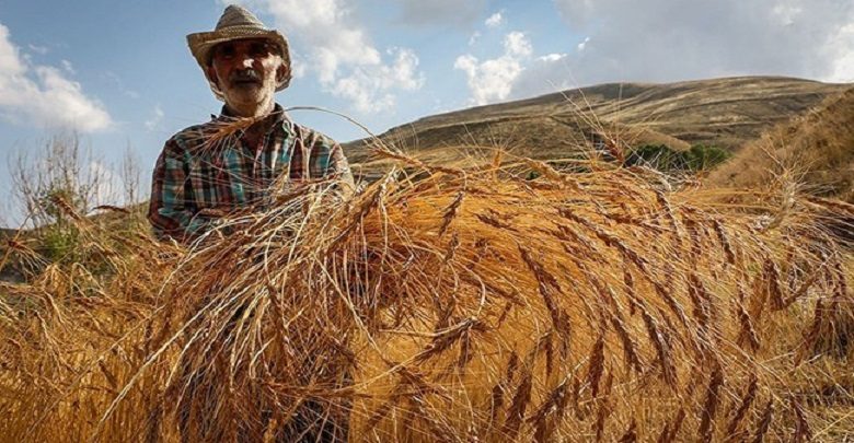 تراز تجاری کشاورزی؛ مثبت خواهد شد؟