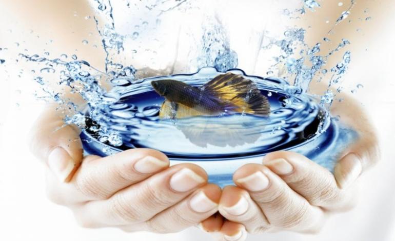 مدیریت مصرف آب اولویت دارد