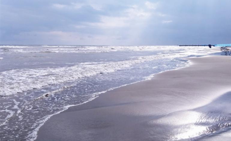 محیط‌زیست، بازیچه سیاست شده است