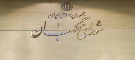 شورای نگهبان برای اعلام نظر درباره تشکیل وزارت بازرگانی مهلت خواست