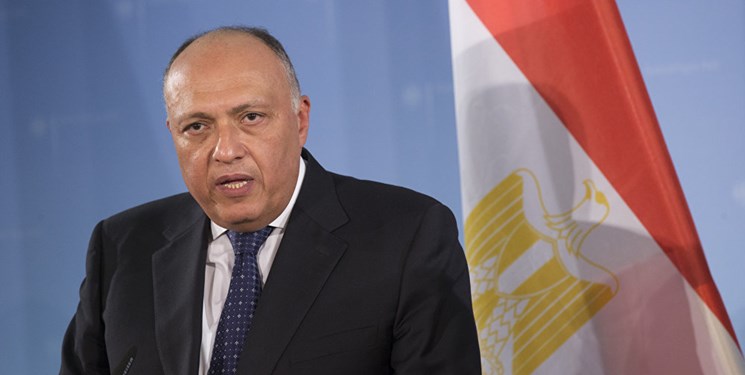 وزیر خارجه مصر: حمله ترکیه، نقض حاکمیت سوریه است