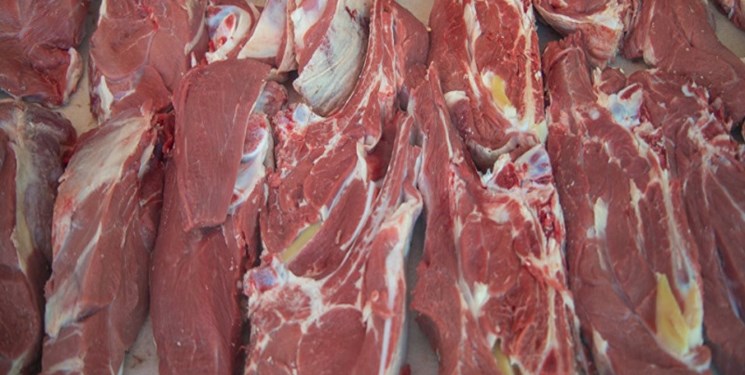 تولید گوشت در کشور افزایش یافت