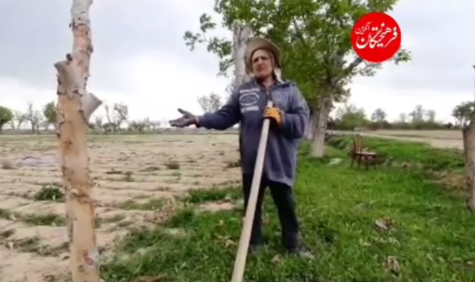 آفت کرونا بر کشاورزی‌