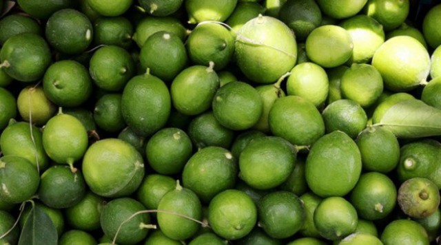 اسامی محتکران افشا نمی‌شود، بخاطر حق رای!‌