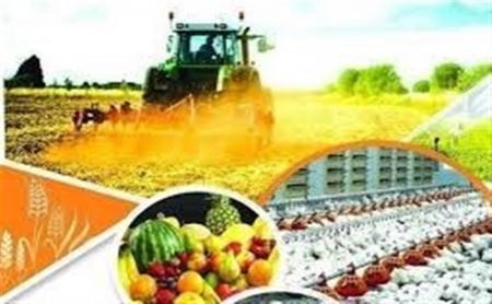 صنعت کشاورزی دانش‌بنیان لوکوموتیو جهش تولید جهت تحقق امنیت‌غذایی کشور