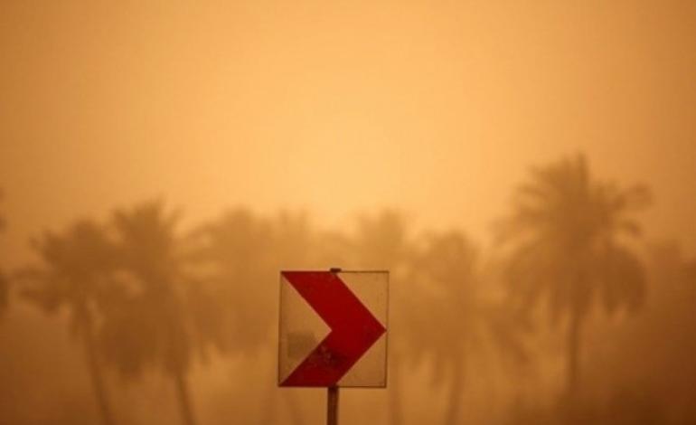 «کهور» و «شورگز» تنها گونه‌های پیشرو در کانون ریزگردها