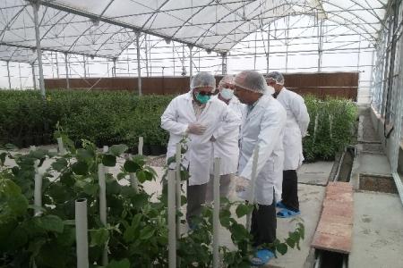 راه‌اندازی کلینیک گیاه‌پزشکی برای حل مسائل کشاورزان