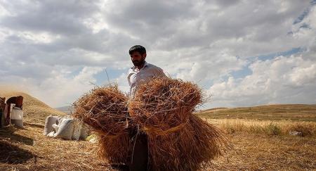 7 ضرورت جبران عقب‌ماندگی کشاورزی ایران