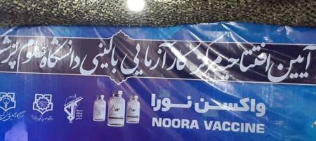 جزئیات تولید واکسن ایرانی کرونای «نورا»/ تولید ماهانه 3 میلیون دُز واکسن