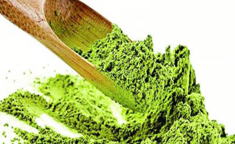 شامپو گیاهی خانگی برای بدن