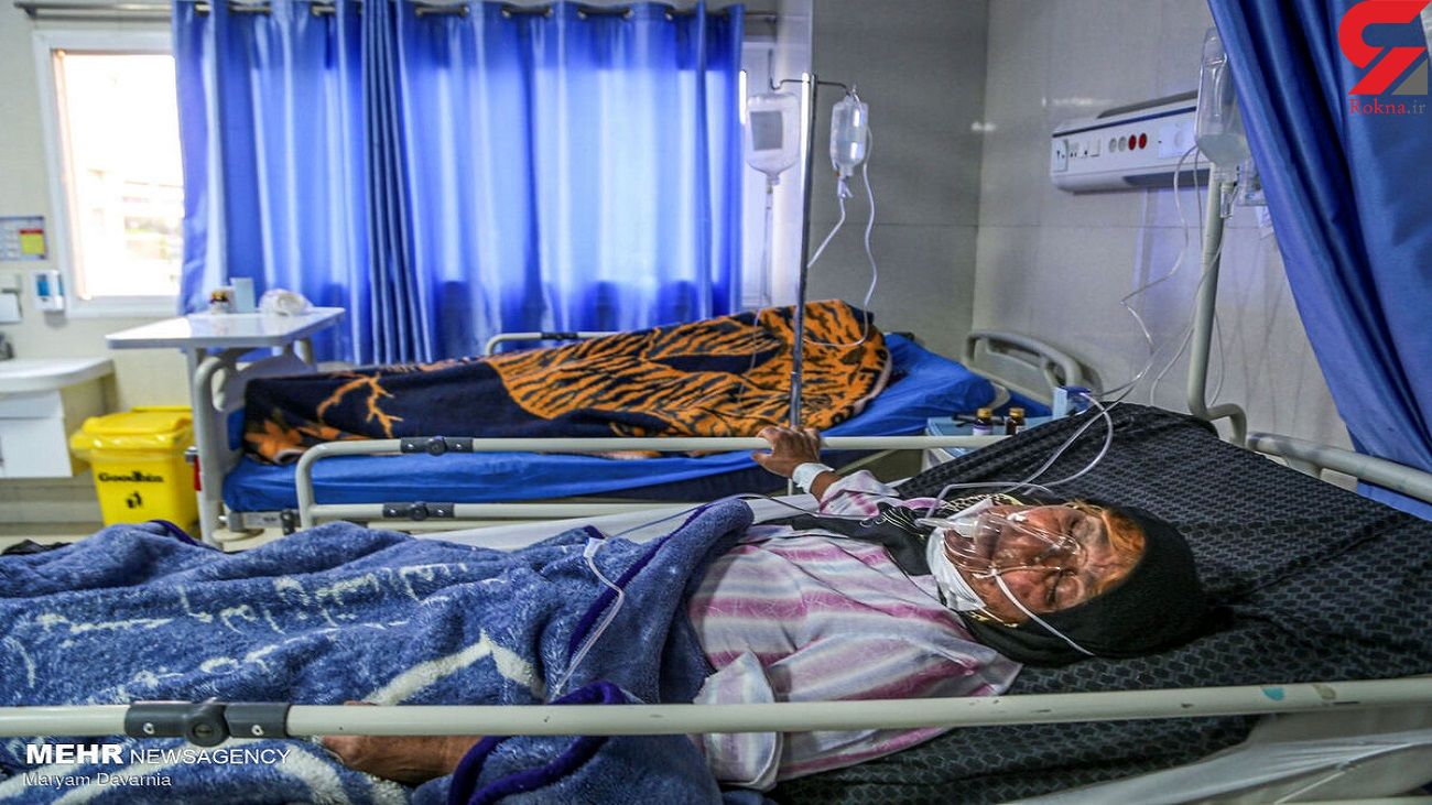۵۶ بیمار قارچ سیاه در بیمارستان های تهران بستری هستند