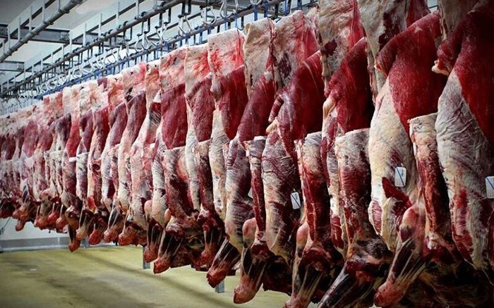 سرانه مصرف گوشت در کشور نصف شده است