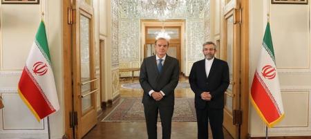 دیدار و گفت‌وگوی «انریکه مورا» با علی باقری در تهران
