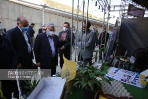 هفدمین جلسه شورای دانشگاه آزاد اسلامی
