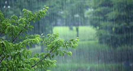 بارش باران و وزش باد در برخی استان‌ها