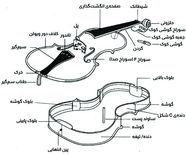 شناخت ساز  ویولن