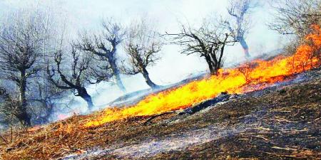 معمای آتش‌سوزی‌های سریالی در  زاگرس