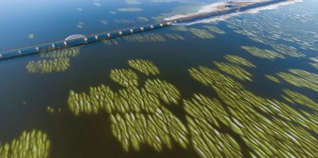 احیای دریاچه ارومیه  با ایجاد کشاورزی کم آب‌بر