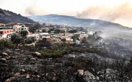  آتش‌سوزی گسترده جنگل‌ها در شمال الجزایر +فیلم