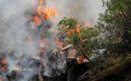 آتش‌سوزی در جنگل‌های مریوان همچنان ادامه دارد + فیلم
