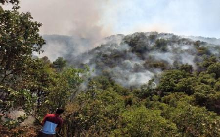 وزش باد باعث تشدید آتش‌سوزی  جنگل‌های مریوان شده است + فیلم