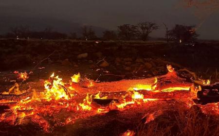 تلفات آتش‌سوزی‌های هاوایی به ۹۳ نفر رسید + فیلم