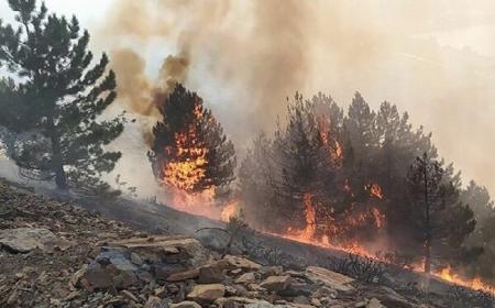 وقوع آتش سوزی در پارک ملی ساریگل