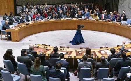چین از وتوی قطعنامه شورای امنیت توسط آمریکا ابراز تاسف کرد