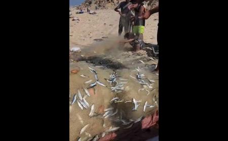 اسرائیل قایق‌های ماهیگیری را هم بمباران کرد + فیلم