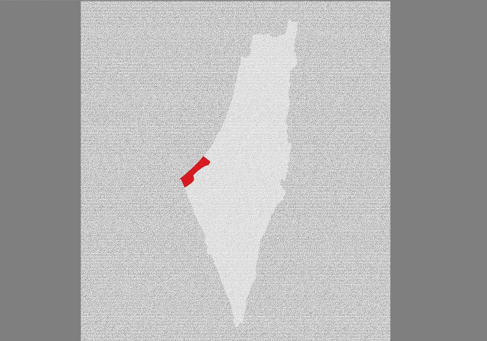 شهیدان فلسطینی روی جلد روزنامه «وطن امروز» + عکس