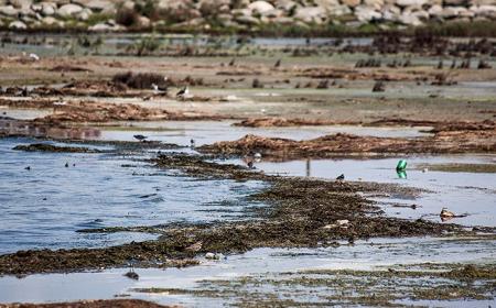 دریای خزر در خطر خشک شدن است