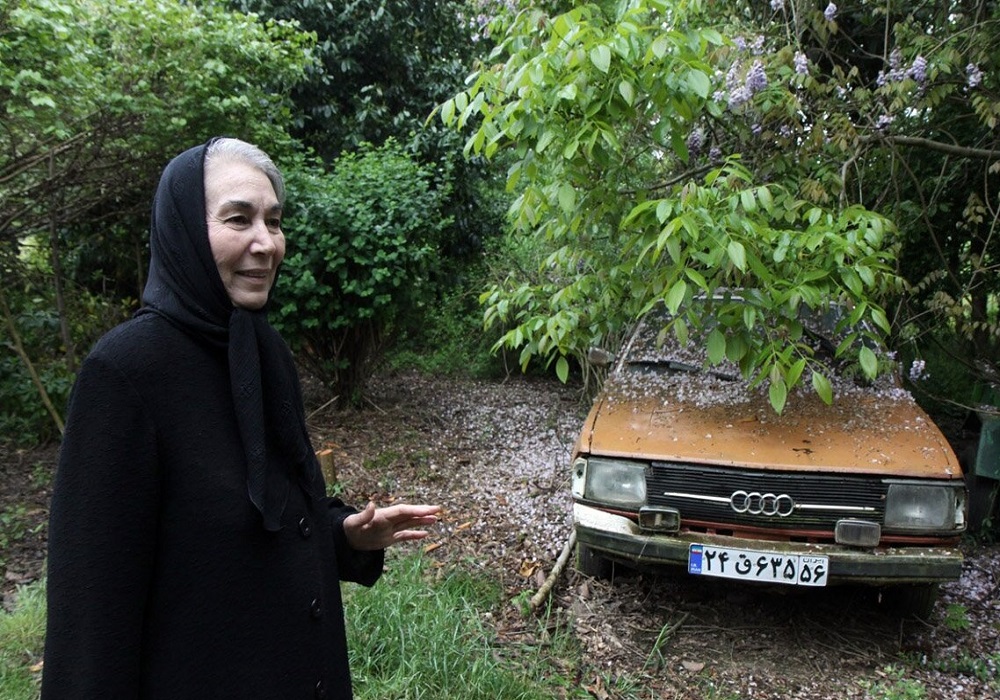 گفت‌وگوی جدید پروانه معصومی + فیلم