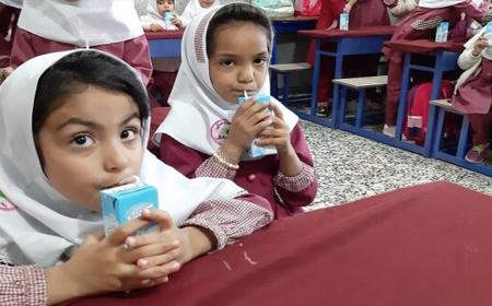 آغاز توزیع شیر در مدارس تهران