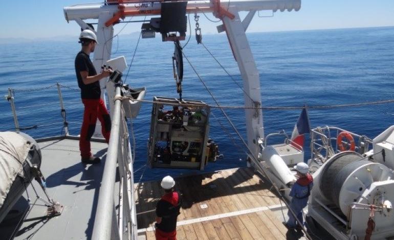 زهپادها، کاشفان اعماق دریا می‌شوند