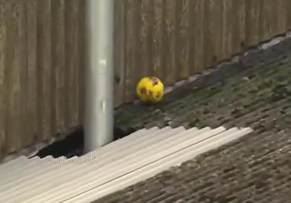 بازیکن لوتون‌، فوتبال را با گلف اشتباه گرفت + فیلم