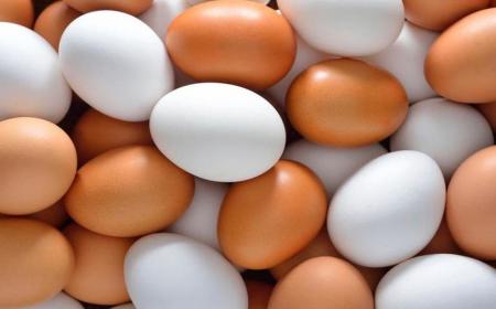 اقدامات موثر بخش بازرگانی وزارت جهاد کشاورزی  برای حمایت از تولیدکنندگان تخم‌مرغ