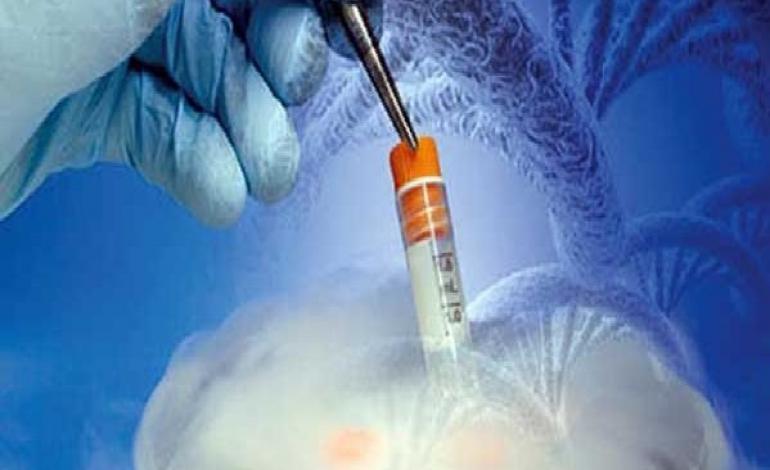 حذف آلودگی‌ محیط‌های انجماد اسپرم با کمک سویا