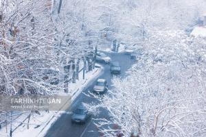 پرسه در برف تهران