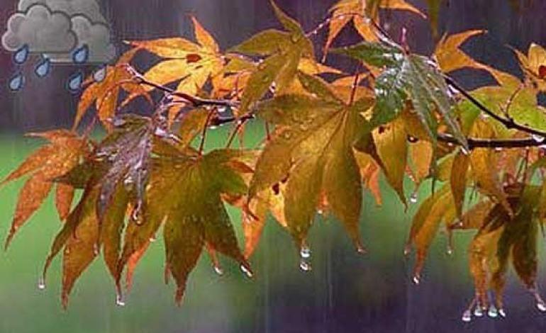 باد و باران بخش‌هایی از کشور را فرا می‌گیرد