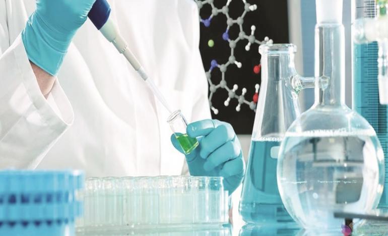 گردن‌کلفت‌ها