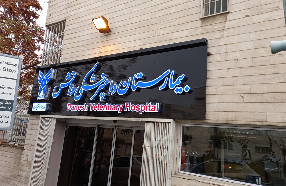 تعداد بیمارستانهای دامپزشکی دانشگاه آزاد به ۱۲ واحد میرسد