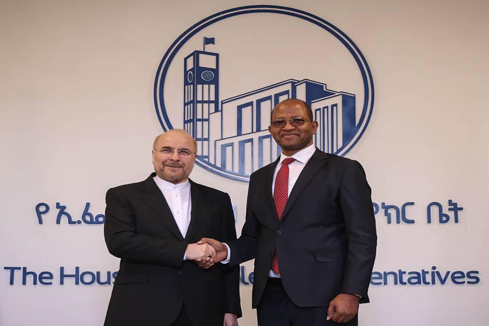 تلاش برای رفع موانع فعالیت تجار ایران و اتیوپی