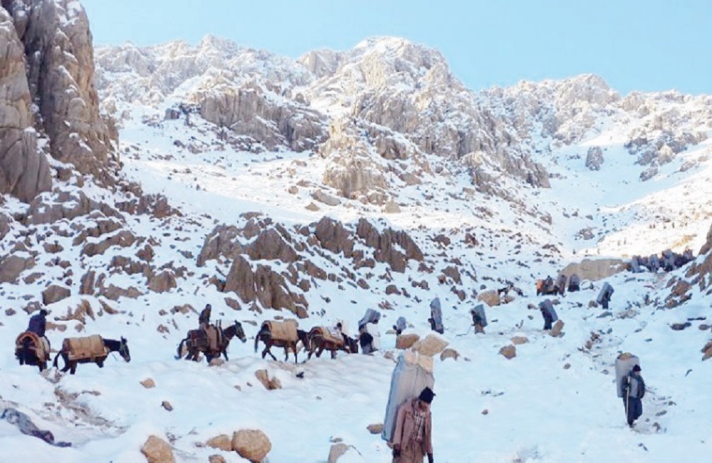 دولت آئیننامه ساماندهی کولبری را ابلاغ کرد