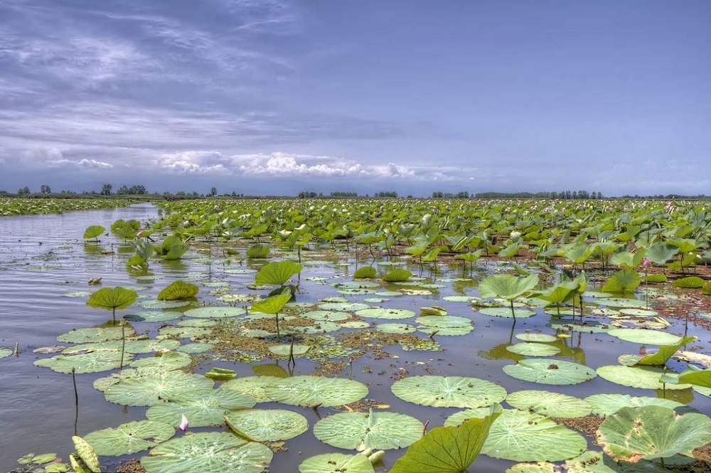 وضعیت اسفناک برخی تالابهای مهم کشور