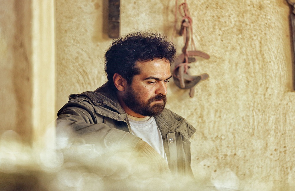 نمایش فیلم ناتوردشت در کاخ جشنواره متوقف شد